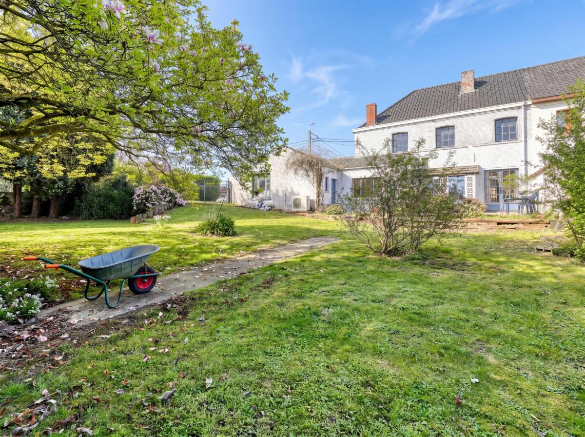 Photo 3 du bien Belle maison villageoise