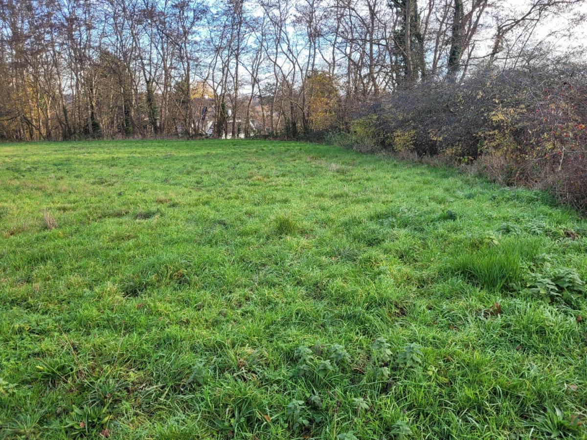 Photo 2 du bien Terrain de de +-41 ares en zone d'habitat