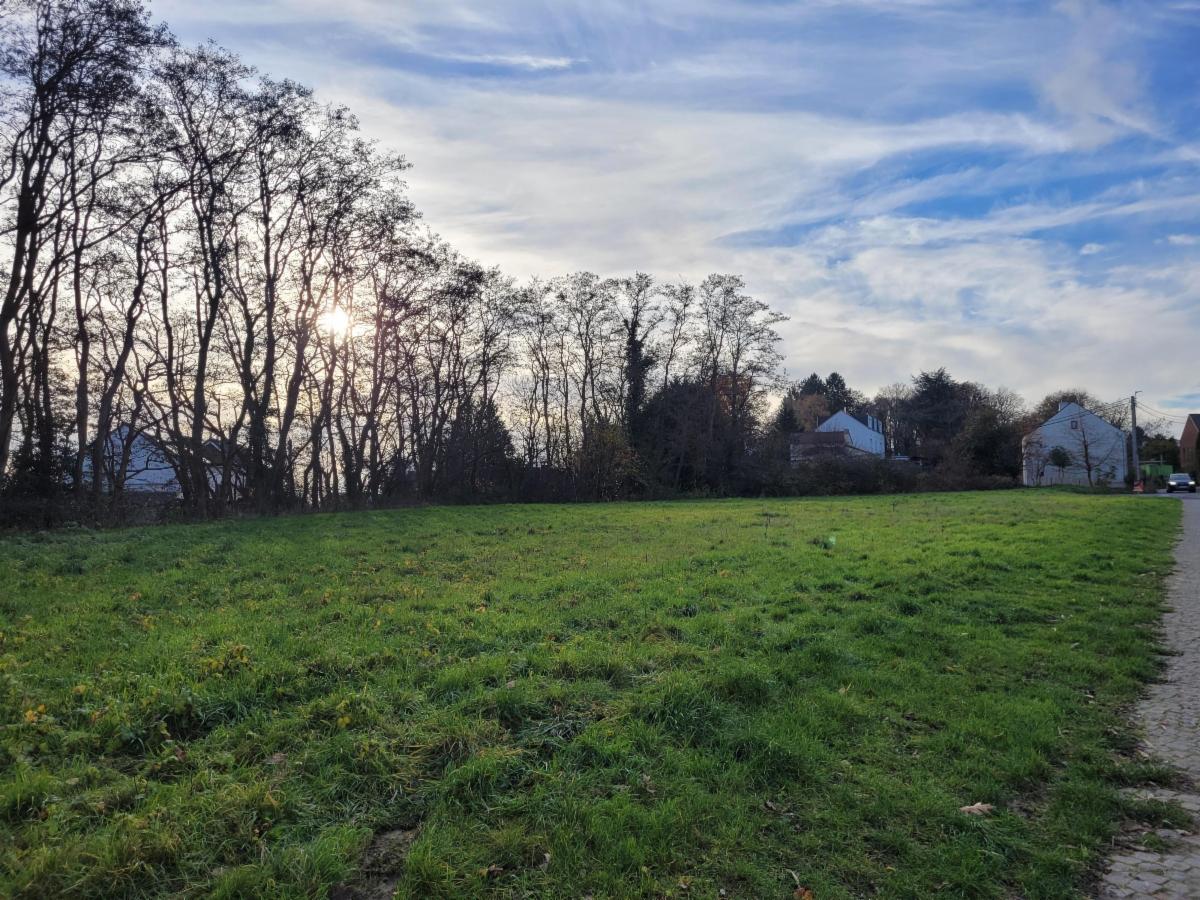 Photo 3 du bien Terrain de de +-41 ares en zone d'habitat