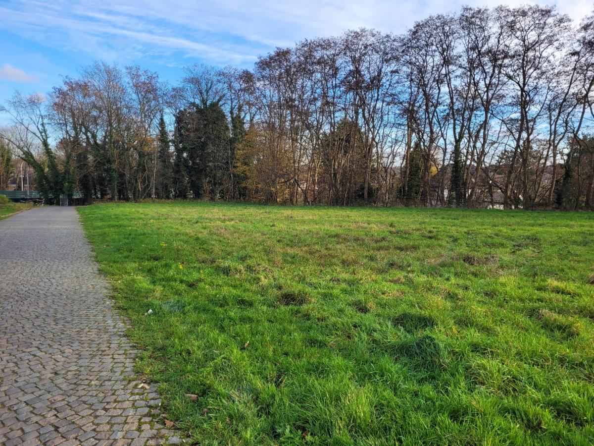 Photo 4 du bien Terrain de de +-41 ares en zone d'habitat