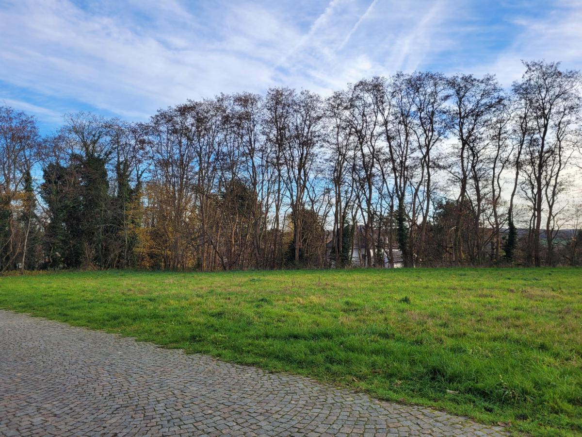 Photo 5 du bien Terrain de de +-41 ares en zone d'habitat