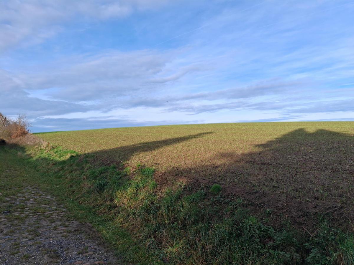 Terrain (lot 1) idéalement situé à la campagne