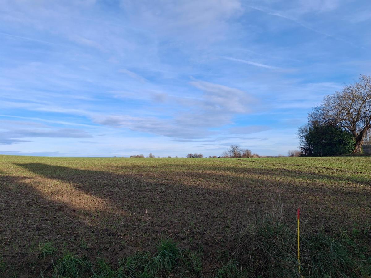 Photo 5 du bien Terrain (lot 1) idéalement situé à la campagne