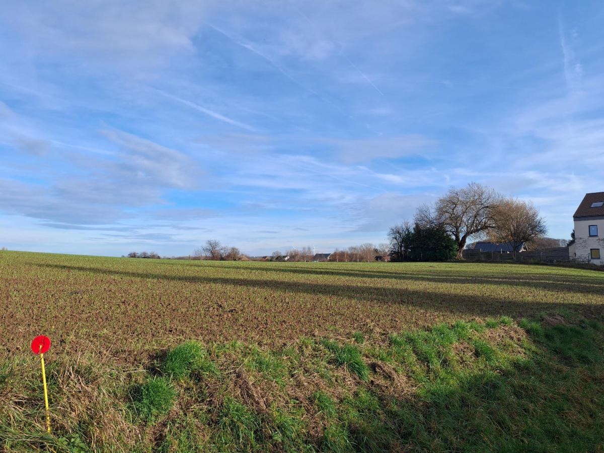 Photo 7 du bien Terrain (lot 1) idéalement situé à la campagne