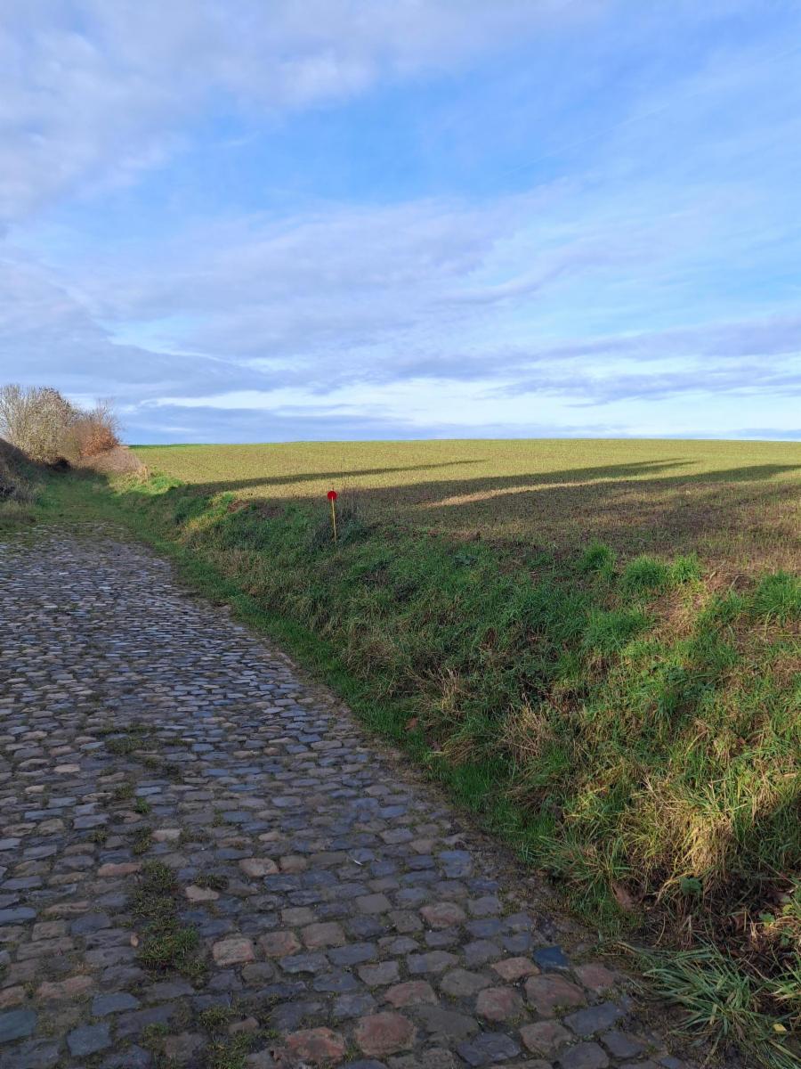 Photo 4 du bien Terrain (lot 2) idéalement situé à la campagne