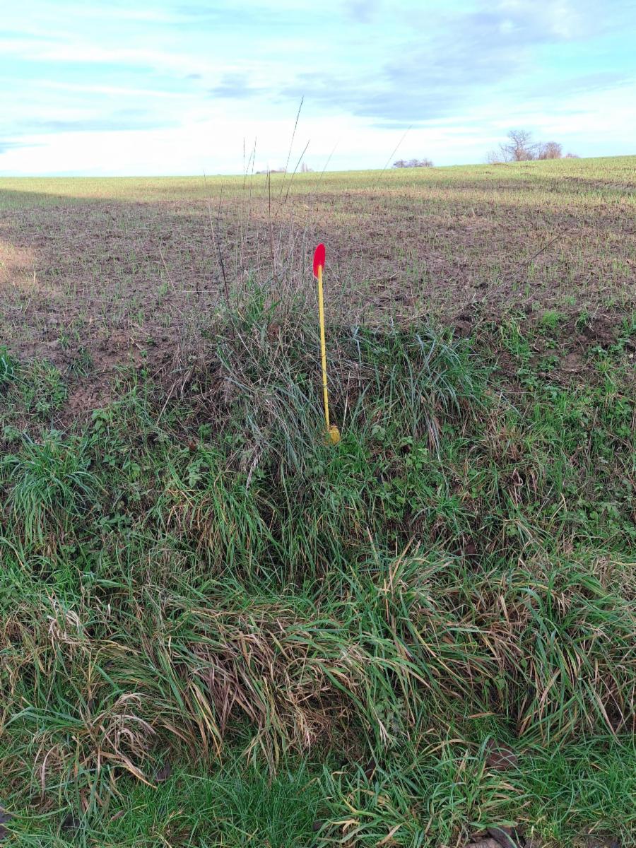 Photo 10 du bien Terrain (lot 2) idéalement situé à la campagne