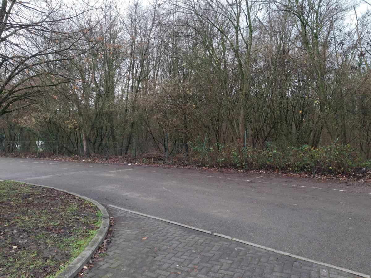 Parcelle de terrain boisée de +-75 ares