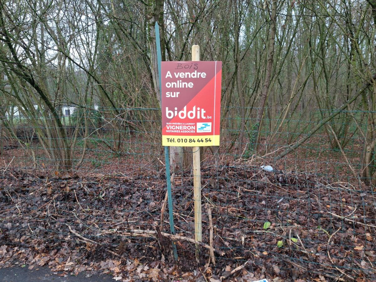 Photo 2 du bien Parcelle de terrain boisée de +-75 ares