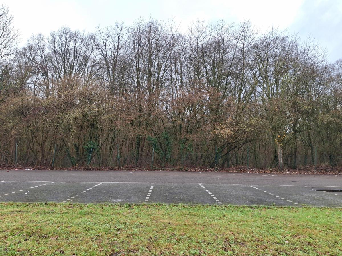 Photo 3 du bien Parcelle de terrain boisée de +-75 ares