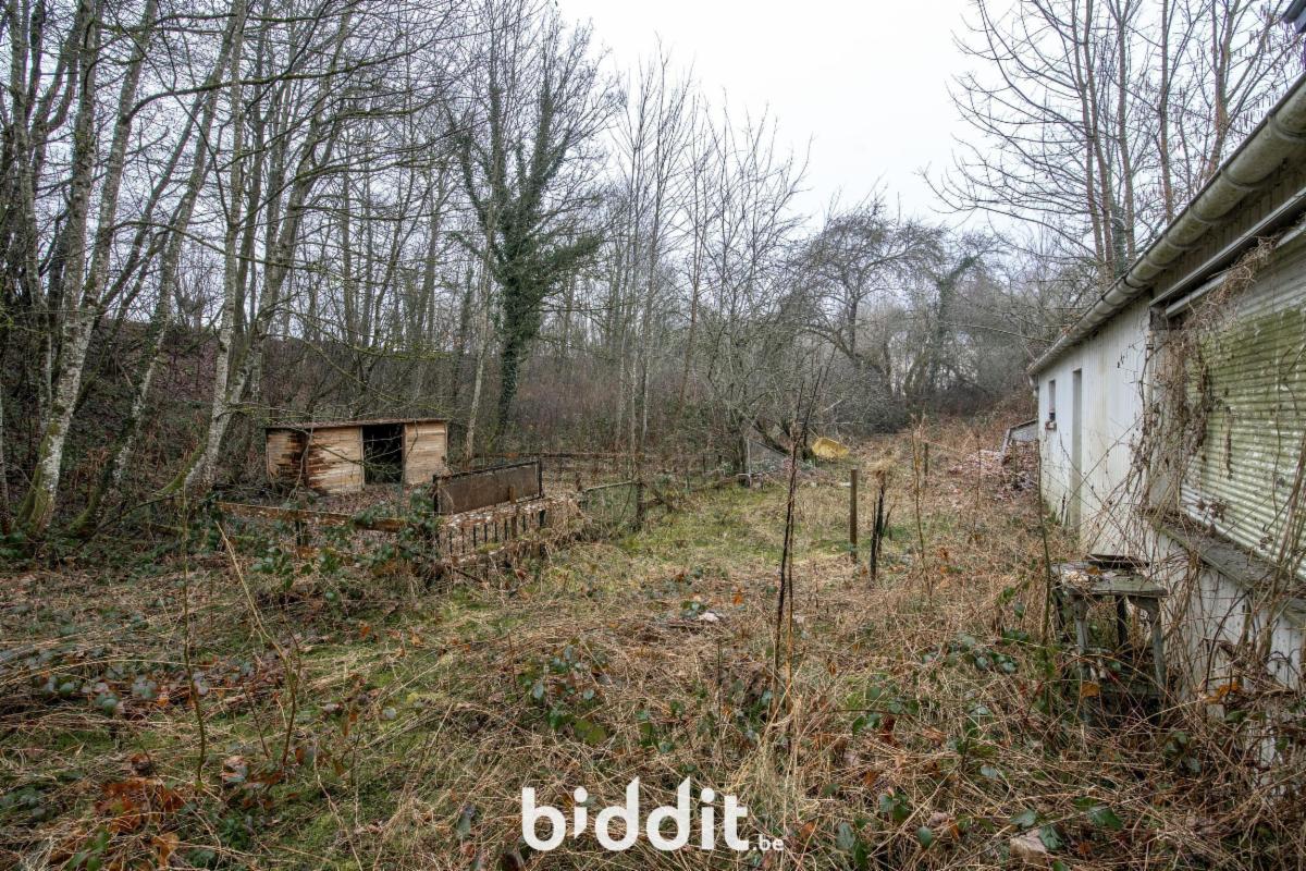 photo 4 du bien Maison unifamiliale avec jardin à Muno 