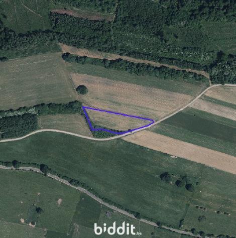 photo 4 du bien Terrains agricoles situés à Florenville (LOT 2) 