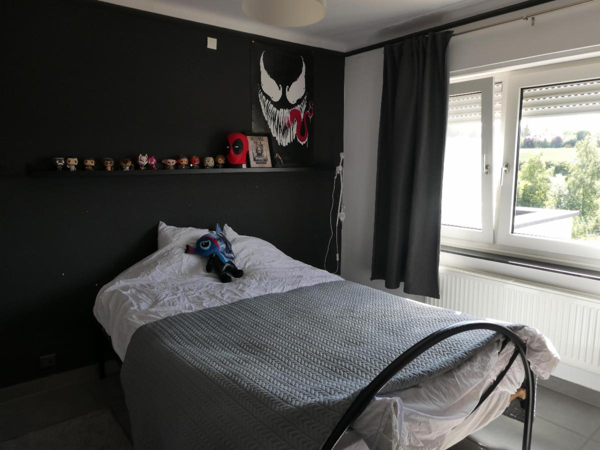 photo 9 du bien A VENDRE: Maison 3 façades rénovée avec garage et jardin