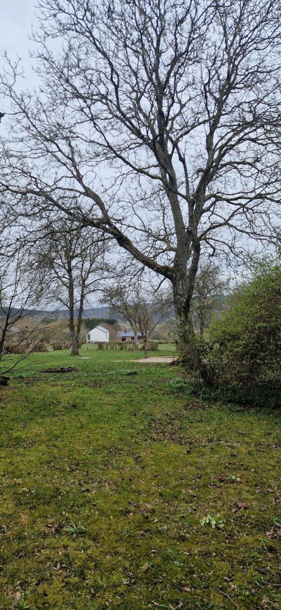 photo 6 du bien Magnifique maison en pierres à rénover (ancien presbytère)