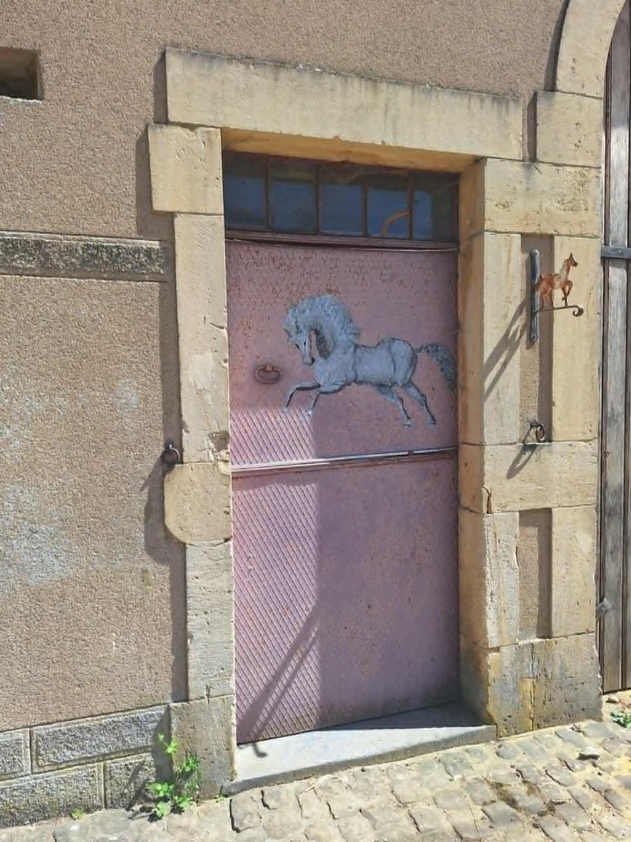 photo 4 du bien Maison de caractère avec installations équestres