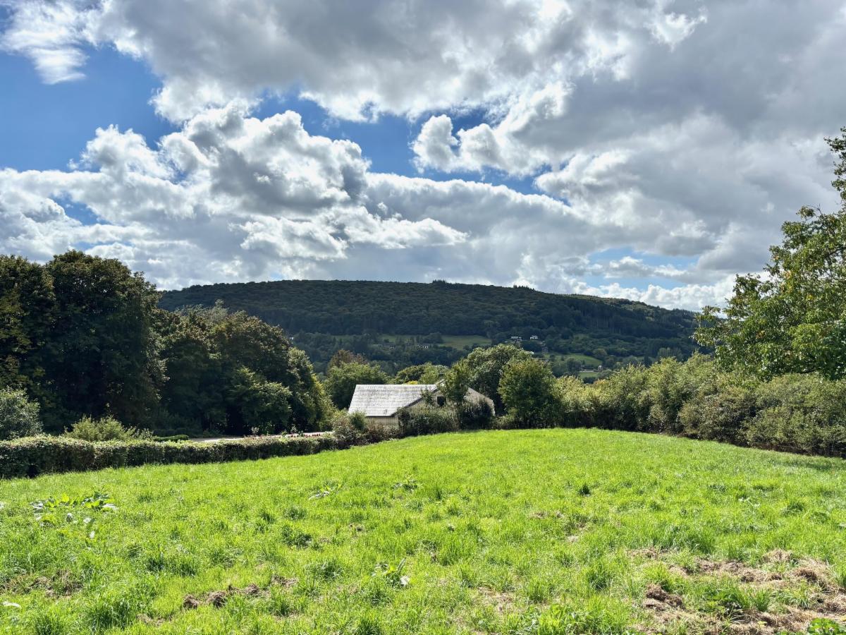 photo 3 du bien Superbe maison de caractère avec vue à Werpin (Hotton) 