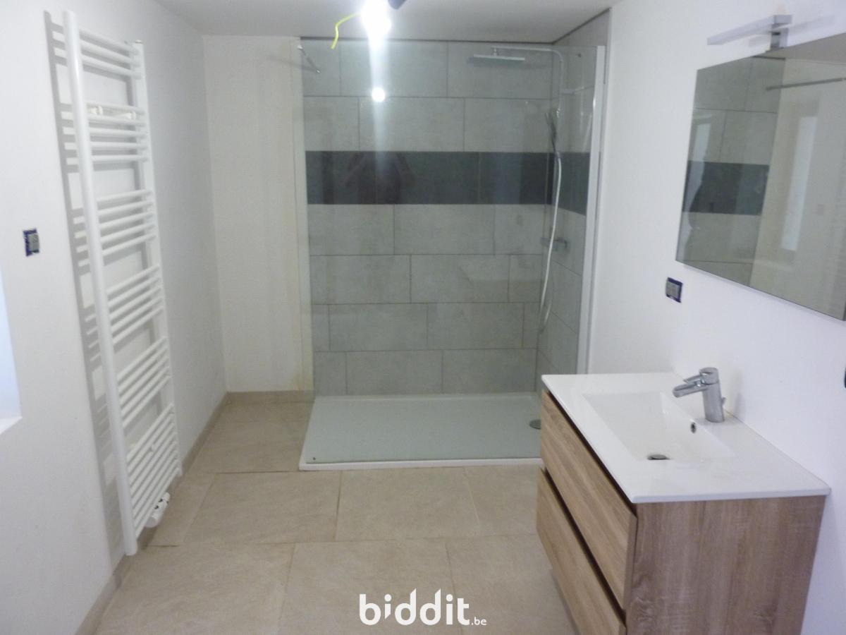 photo 21 du bien Fermette partiellement rénovée avec grand garage + terrain