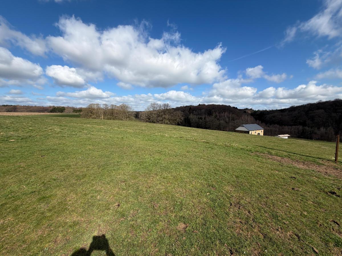photo 3 du bien BIEN EXCEPTIONNEL–FERME ISOLÉE SUR ±7 HA À ÉTALLE (HUOMBOIS)