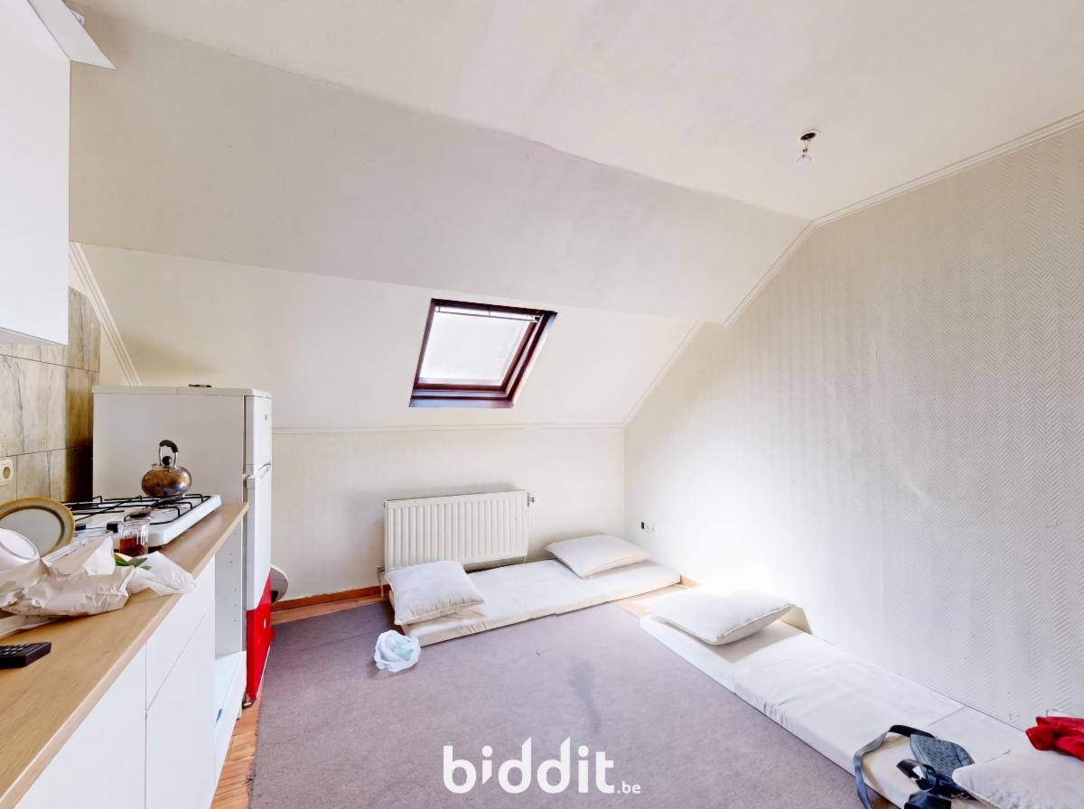 photo 9 du bien Une maison de commerce et de rapport avec bâtiment arrière