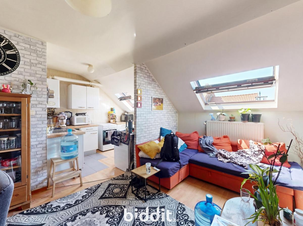 photo 20 du bien Une maison de commerce et de rapport avec bâtiment arrière