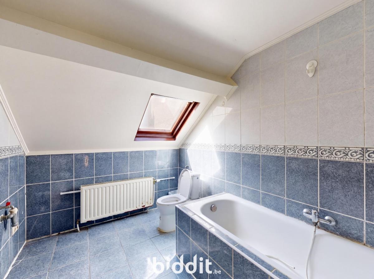 photo 24 du bien Une maison de commerce et de rapport avec bâtiment arrière