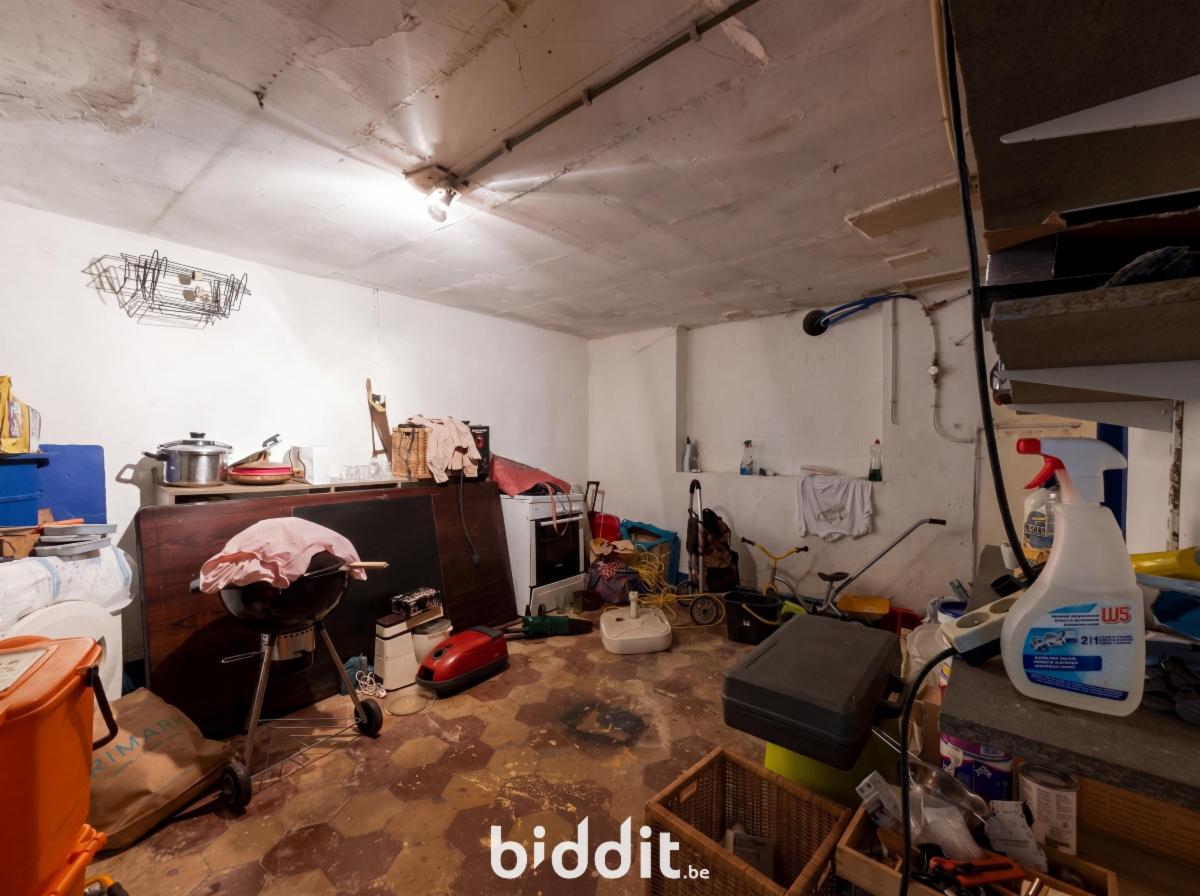 photo 29 du bien Une maison de commerce et de rapport avec bâtiment arrière