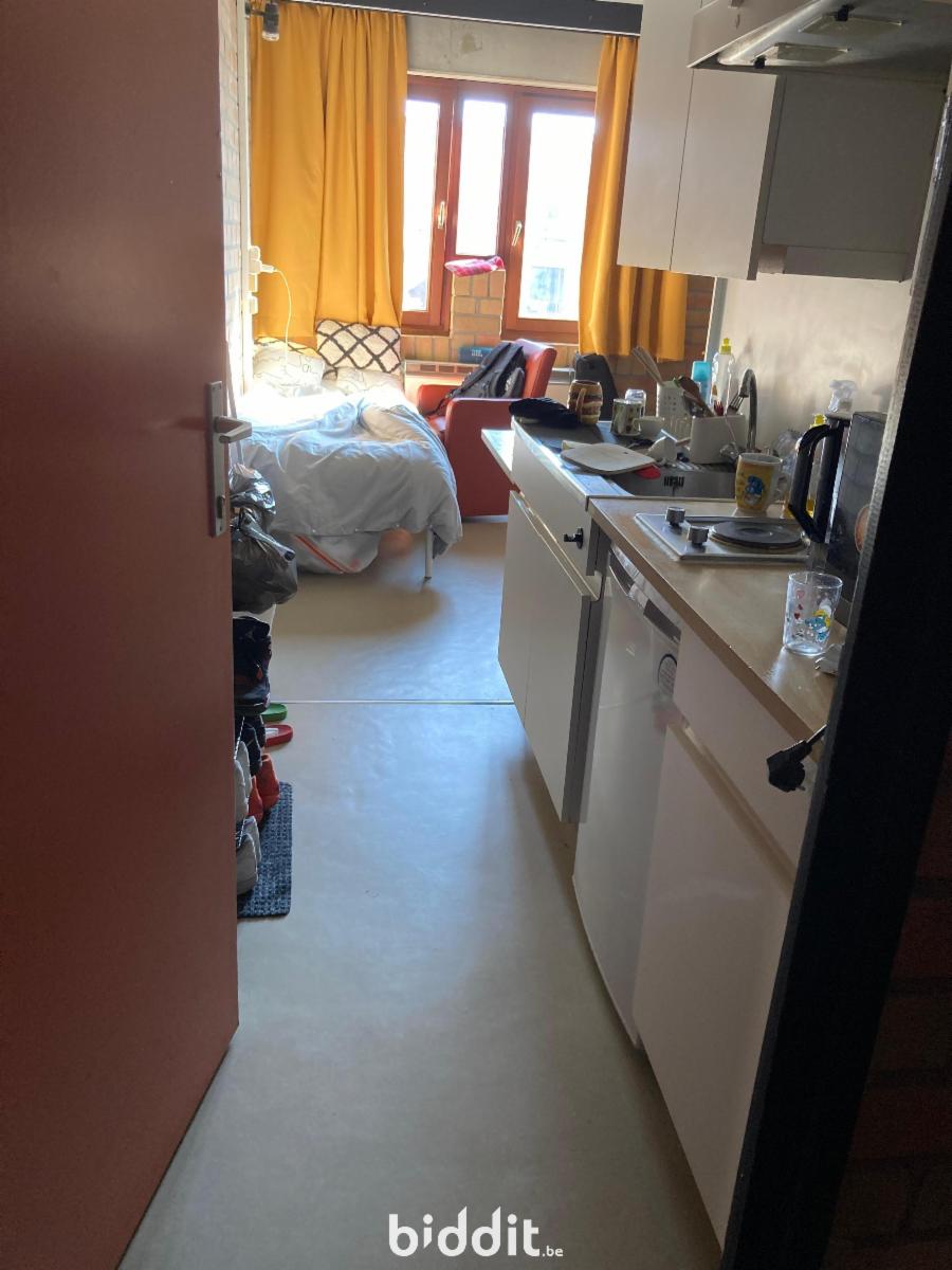 photo 10 du bien Le studio/kot n° 3/512 au niveau 5, aile 3
