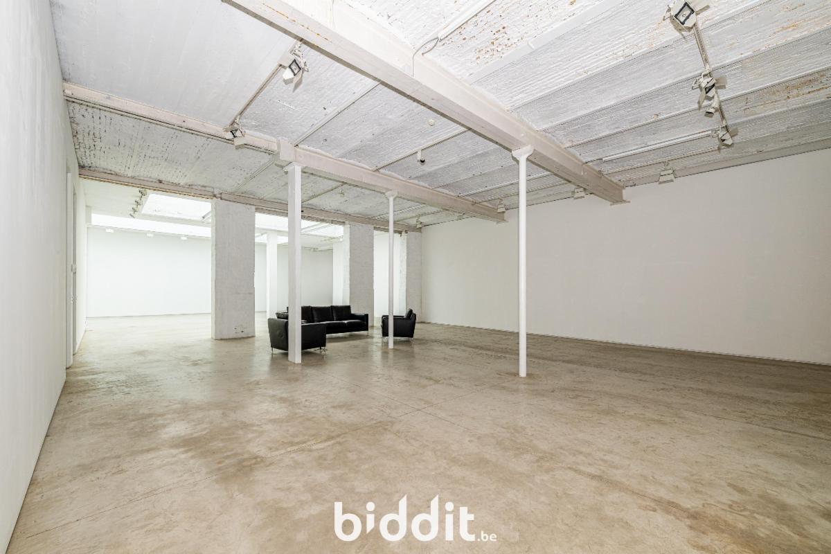 photo 2 du bien L’allée menant au garage au rdc. et atelier