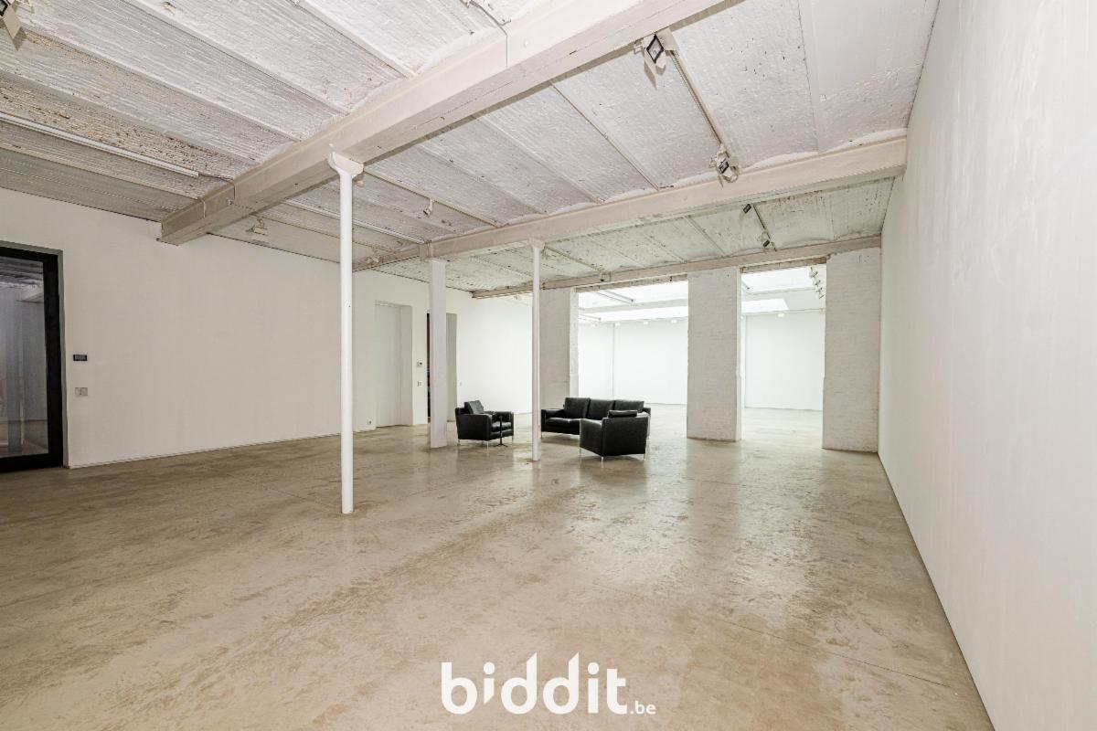 photo 3 du bien L’allée menant au garage au rdc. et atelier