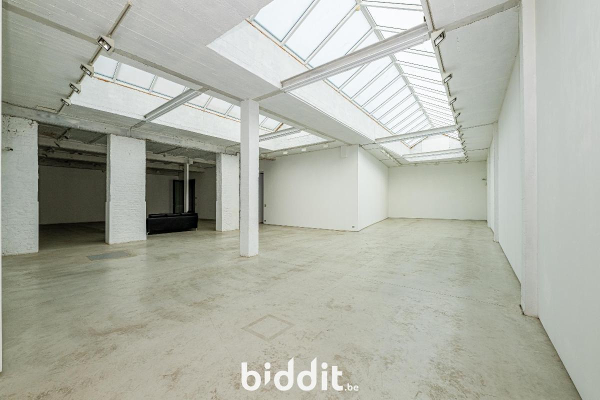 photo 5 du bien L’allée menant au garage au rdc. et atelier