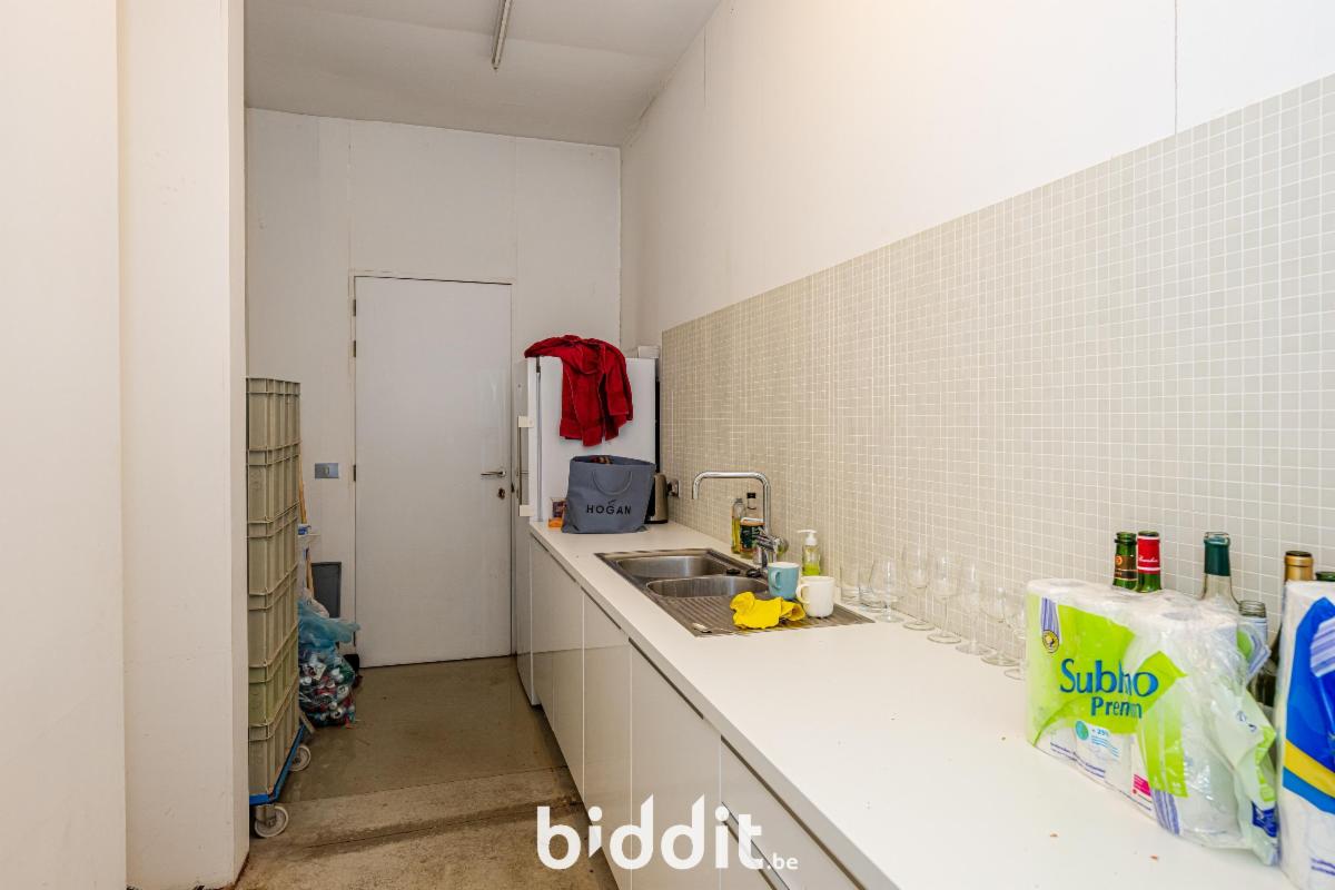 photo 8 du bien L’allée menant au garage au rdc. et atelier