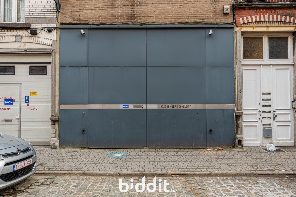 photo 12 du bien L’allée menant au garage au rdc. et atelier