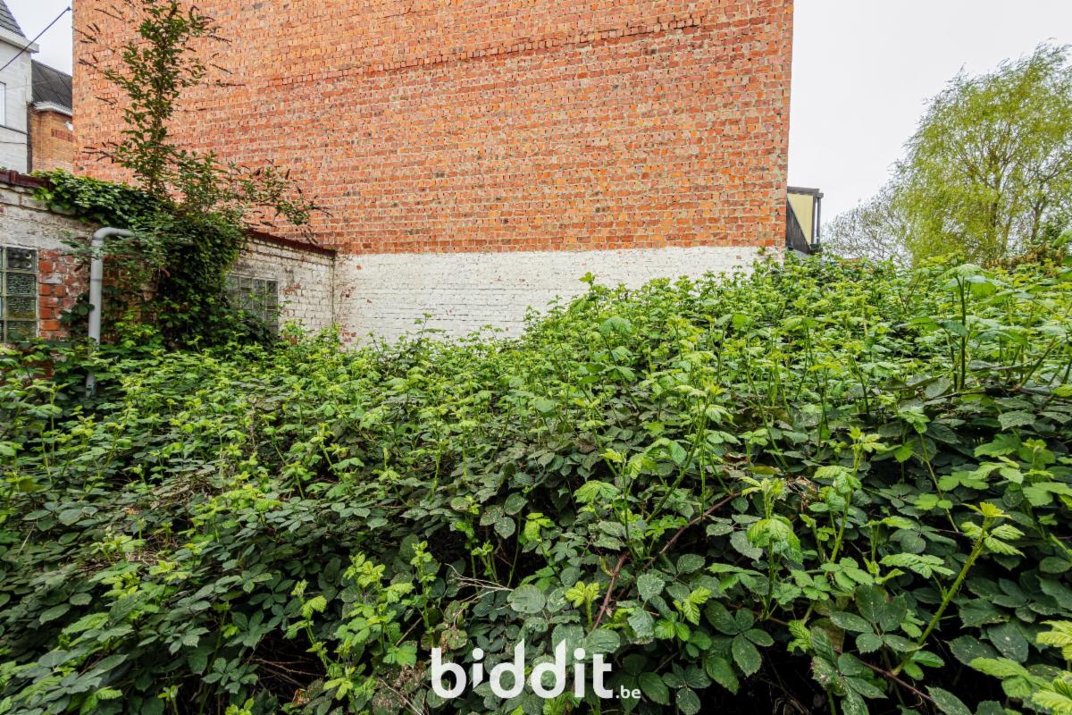 photo 26 du bien Une maison avec dépendances et garage