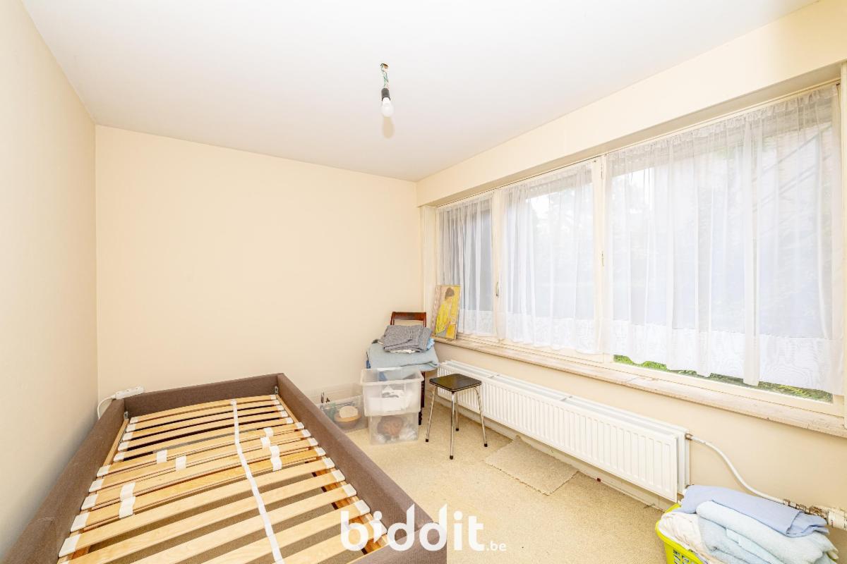 photo 3 du bien Maison unifamiliale 3-façades avec jardin