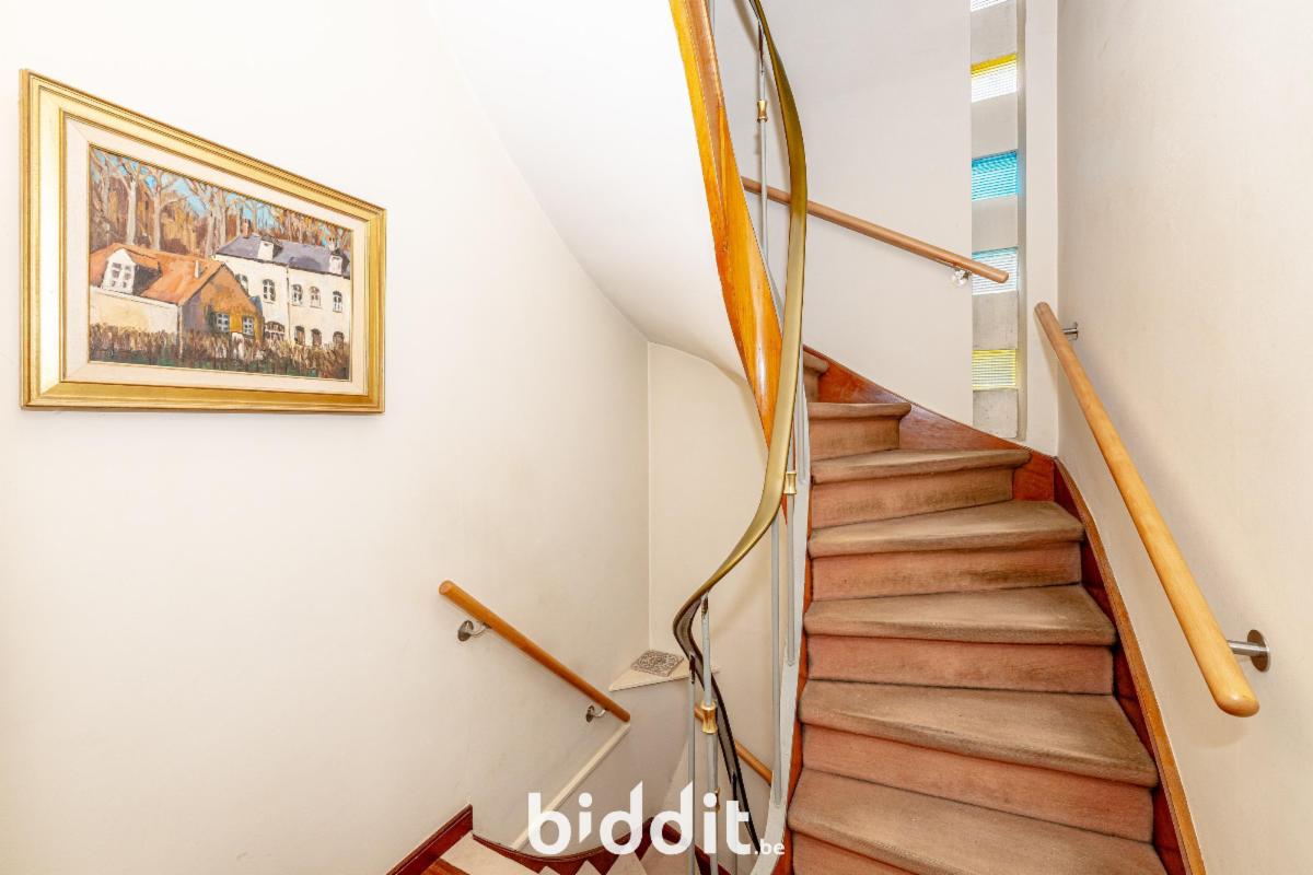 photo 6 du bien Maison unifamiliale 3-façades avec jardin