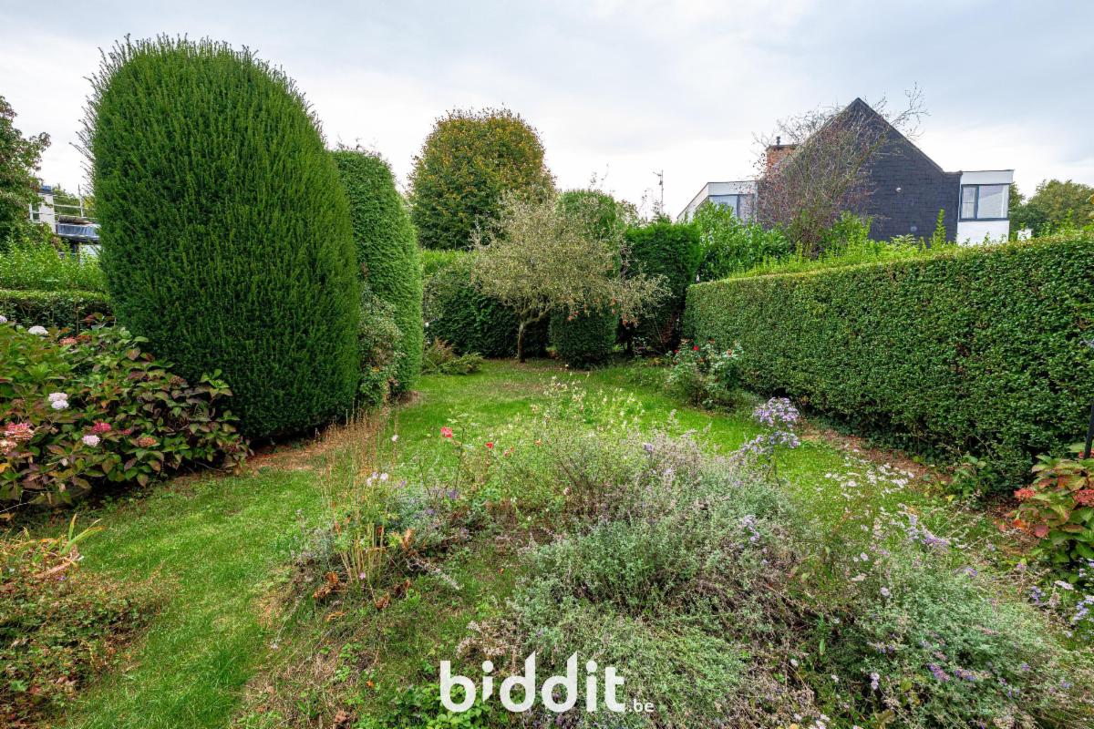 photo 12 du bien Maison unifamiliale 3-façades avec jardin