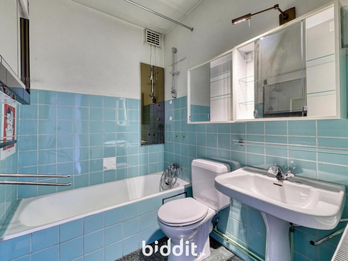 photo 10 du bien Un appartement, une cave et un emplacement parking