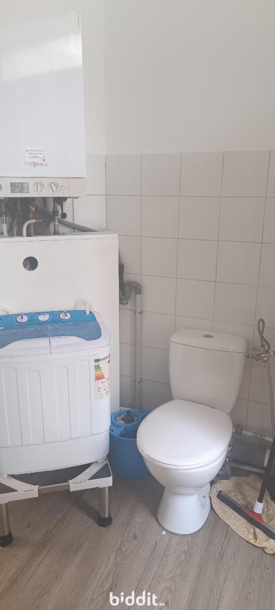 photo 4 du bien Une maison de commerce et de rapport