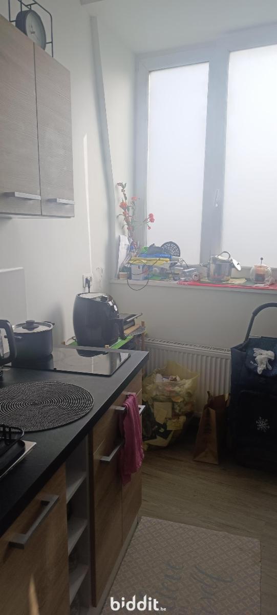 photo 6 du bien Une maison de commerce et de rapport