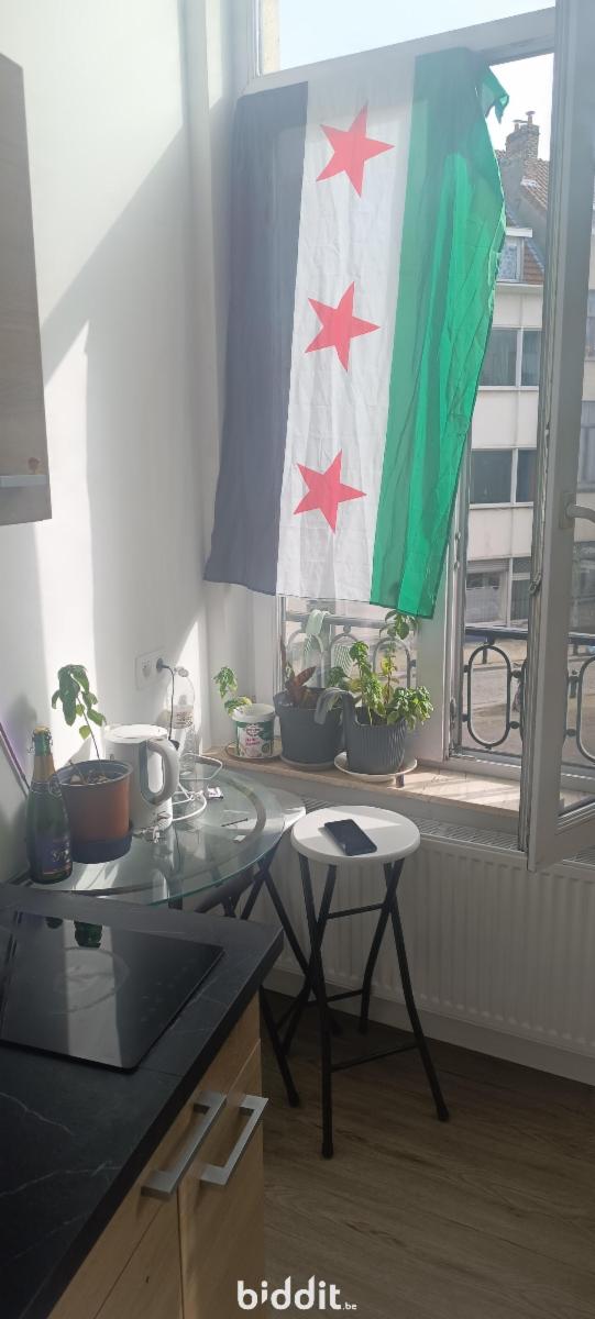 photo 10 du bien Une maison de commerce et de rapport