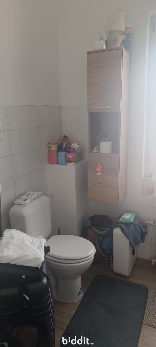 photo 14 du bien Une maison de commerce et de rapport