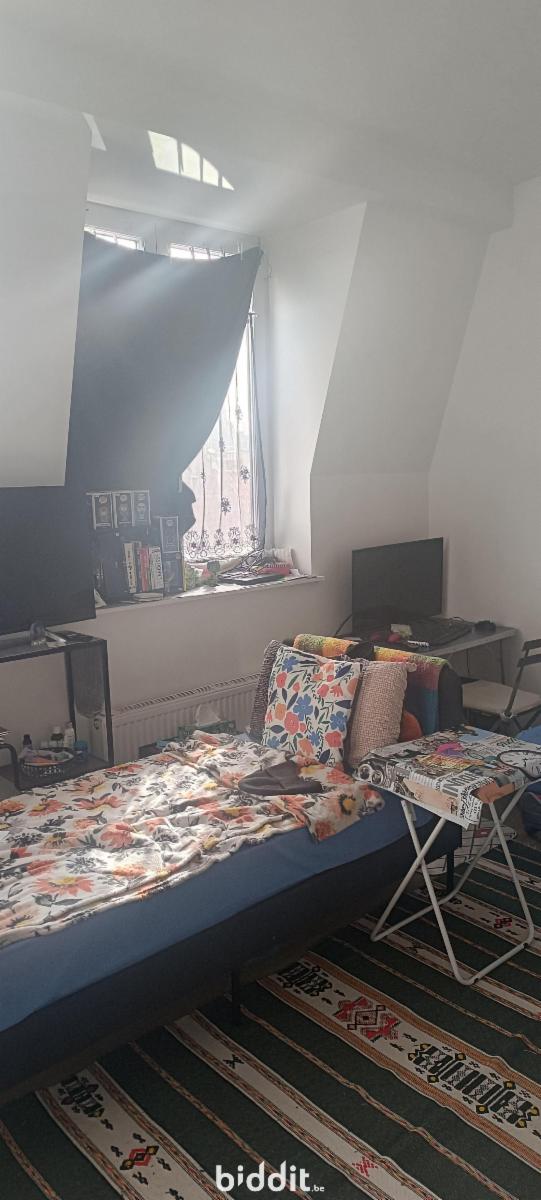 photo 16 du bien Une maison de commerce et de rapport