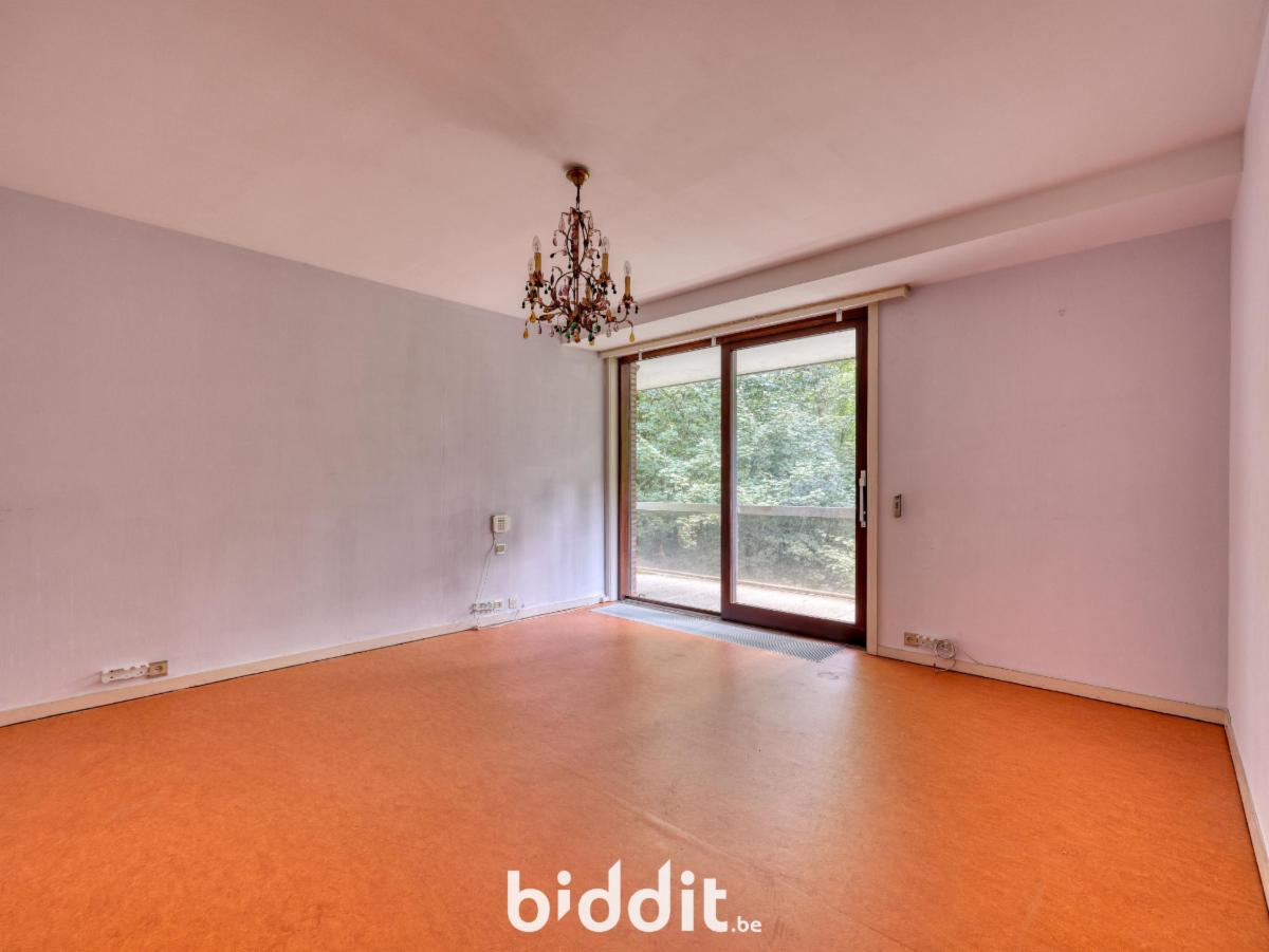 photo 9 du bien Appartements au 3e ét. formant un seul appartement (248m²)