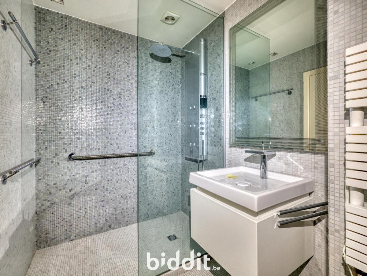 photo 13 du bien Appartements au 3e ét. formant un seul appartement (248m²)