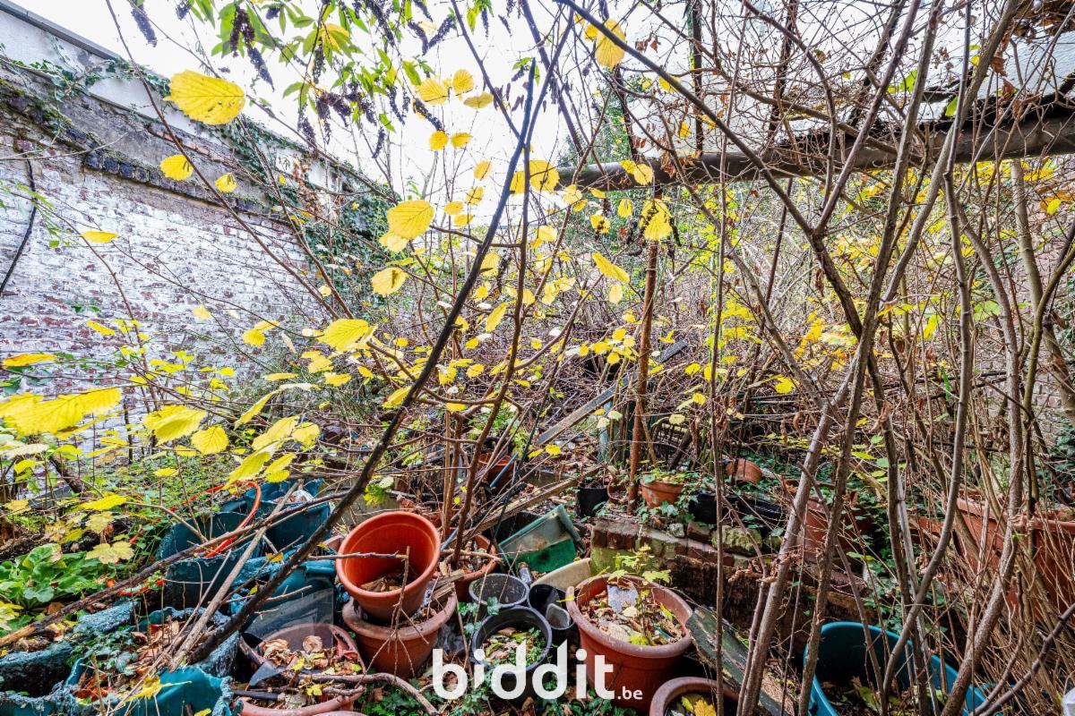 photo 6 du bien Une maison de rentier avec jardin